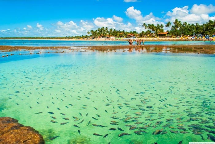 Foto retirada de https://togethertur.com.br/produto/porto-de-galinhas-mergulhobuggy/
