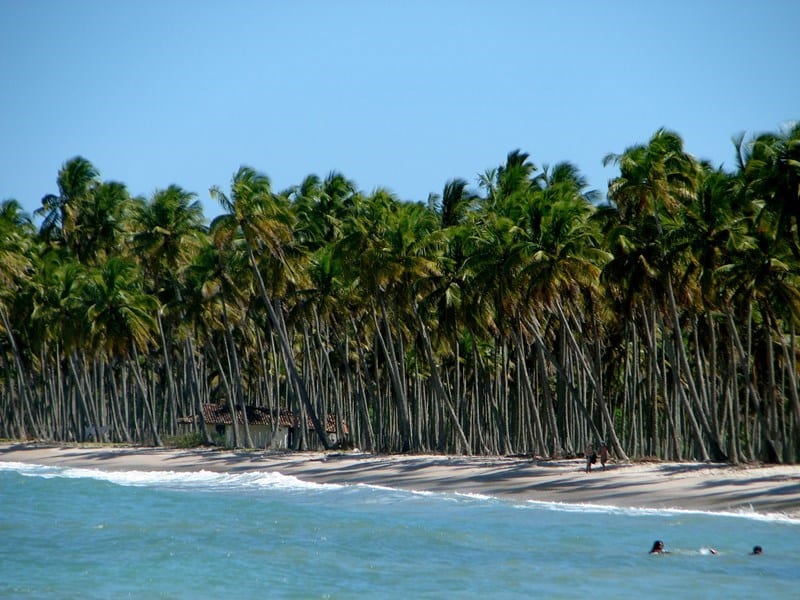 Foto retirada de http://www.boipebatur.com.br/ilha-de-boipeba/conheca-boipeba/as-praias