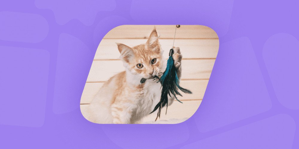 As melhores opções de brinquedo para gatos.