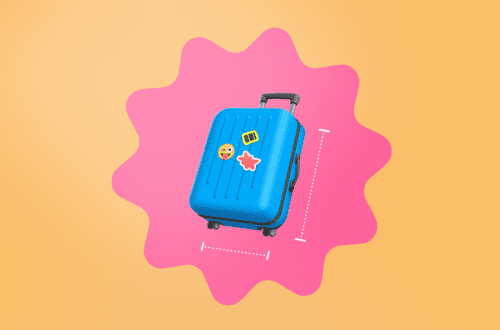 Tem dúvidas sobre viajar de avião e suas regras? Descubra como fazer as suas viagens com uma bagagem de mão.